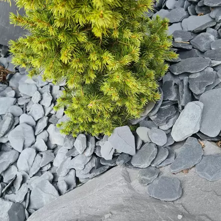 Liuskekivikate, pyöristetty musta koristekivi 20-40 mm 20kg - Koristekivet - 2930 - 1