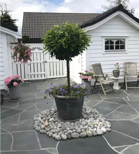 Liuskekivi, Alta harmaa 2-3 cm Pihakivi, 20 m2 pakkaus - Liuskekivet - 2562 - 1