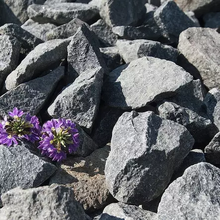 Kivilouhe, tumma diabaasi 55-75 mm, 1000 kg suursäkki - Kivituhkat, hiekat ja sepelit - 1389 - 1